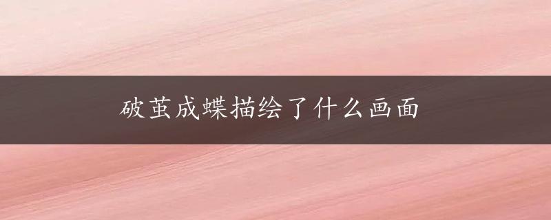 破茧成蝶描绘了什么画面