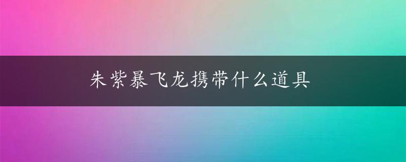 朱紫暴飞龙携带什么道具