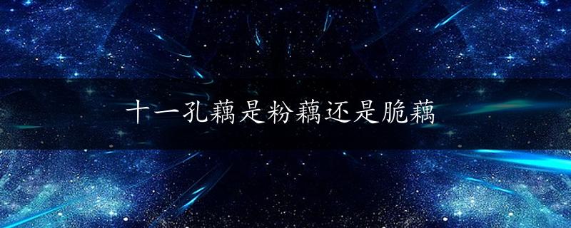 十一孔藕是粉藕还是脆藕