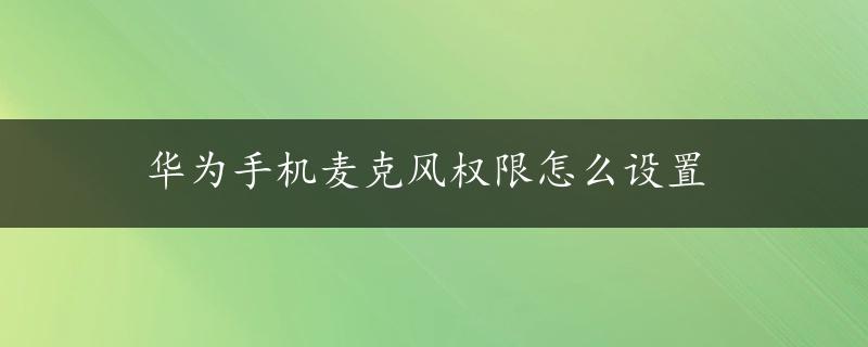 华为手机麦克风权限怎么设置