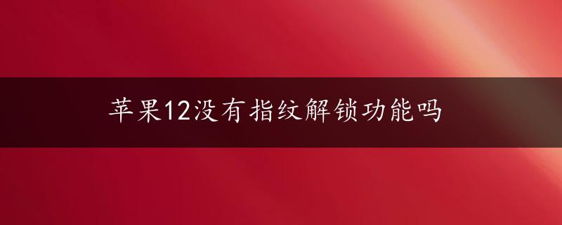 苹果12没有指纹解锁功能吗