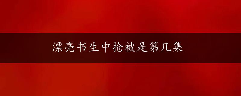 漂亮书生中抢被是第几集