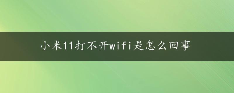 小米11打不开wifi是怎么回事