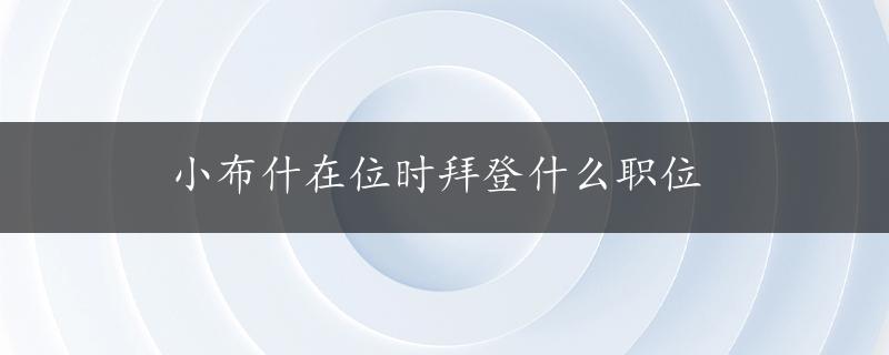 小布什在位时拜登什么职位