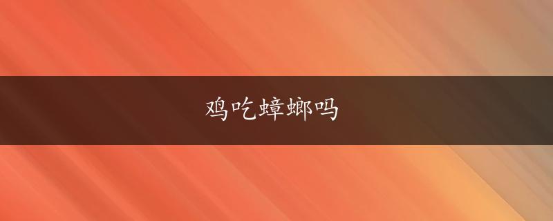 鸡吃蟑螂吗