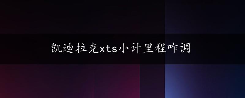 凯迪拉克xts小计里程咋调