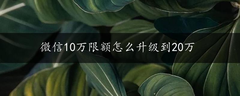 微信10万限额怎么升级到20万