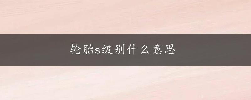 轮胎s级别什么意思