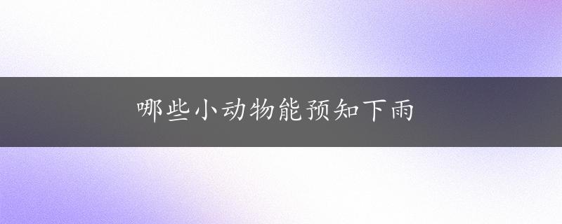 哪些小动物能预知下雨