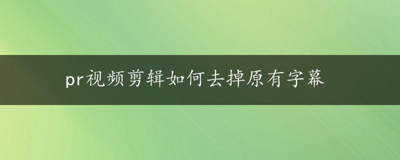 pr视频剪辑如何去掉原有字幕