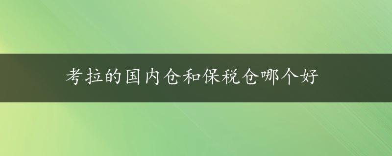 考拉的国内仓和保税仓哪个好