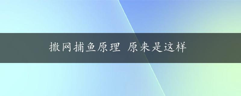 撒网捕鱼原理 原来是这样