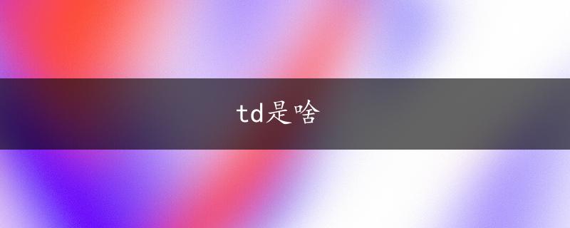 td是啥