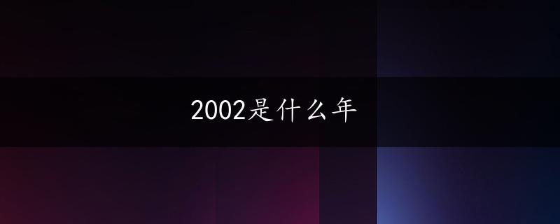 2002是什么年