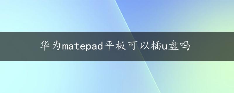 华为matepad平板可以插u盘吗