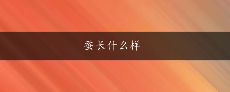 蚕长什么样