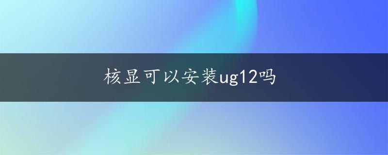 核显可以安装ug12吗