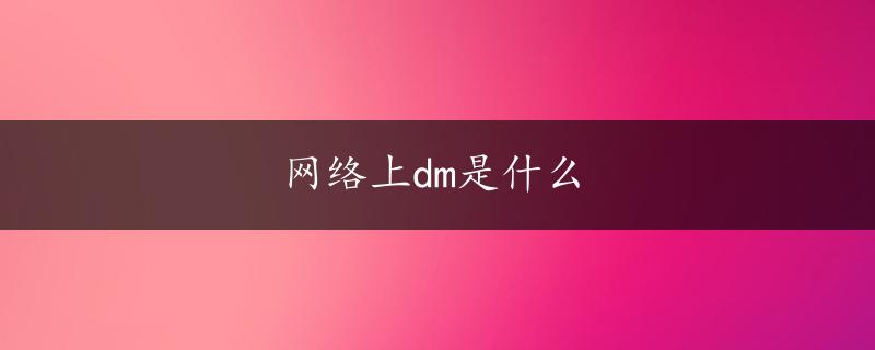 网络上dm是什么