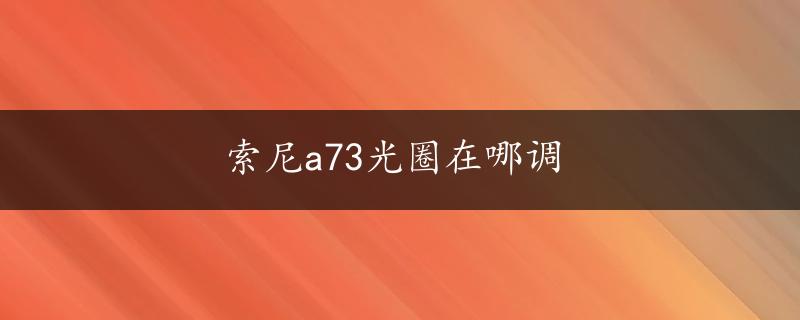 索尼a73光圈在哪调