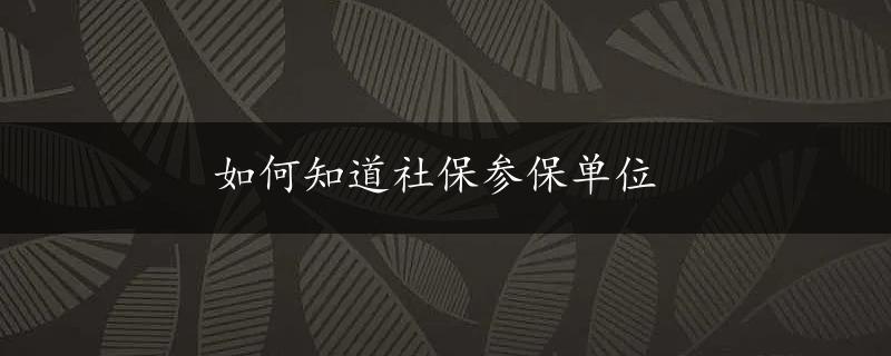 如何知道社保参保单位