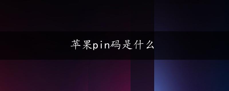 苹果pin码是什么