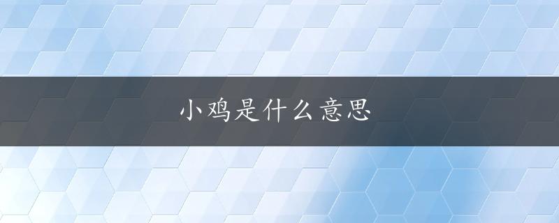 小鸡是什么意思