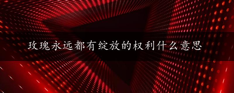 玫瑰永远都有绽放的权利什么意思