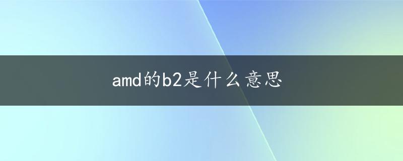 amd的b2是什么意思