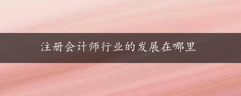 注册会计师行业的发展在哪里