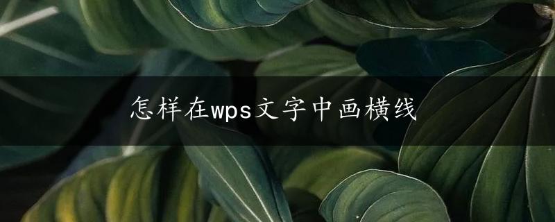 怎样在wps文字中画横线