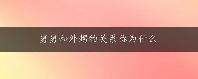 舅舅和外甥的关系称为什么