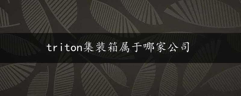 triton集装箱属于哪家公司