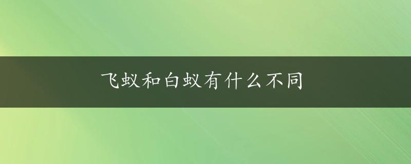 飞蚁和白蚁有什么不同