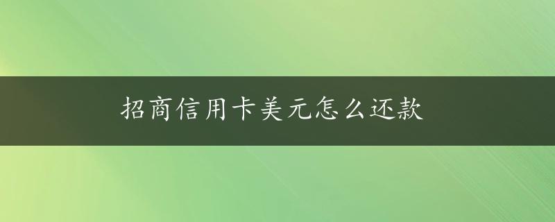 招商信用卡美元怎么还款