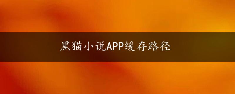 黑猫小说APP缓存路径