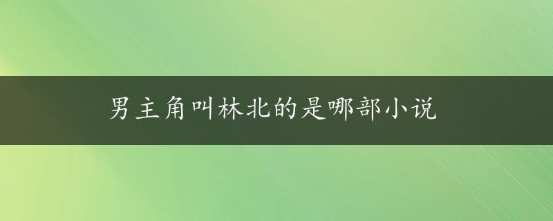 男主角叫林北的是哪部小说