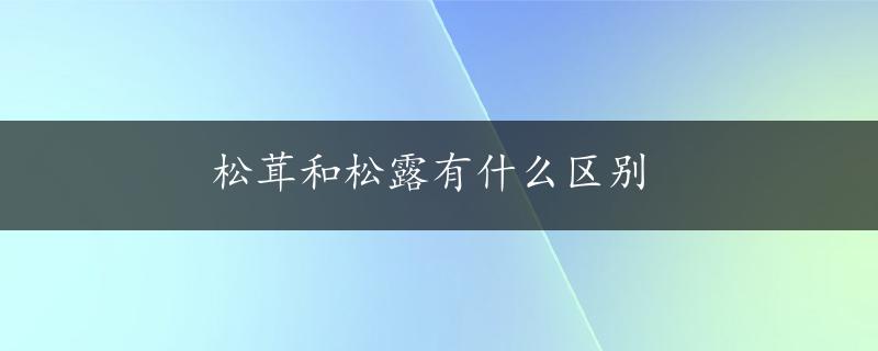 松茸和松露有什么区别