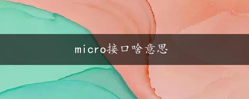 micro接口啥意思