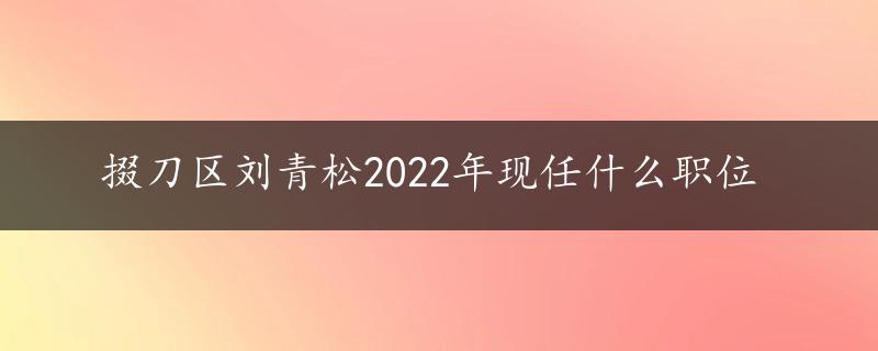 掇刀区刘青松2022年现任什么职位