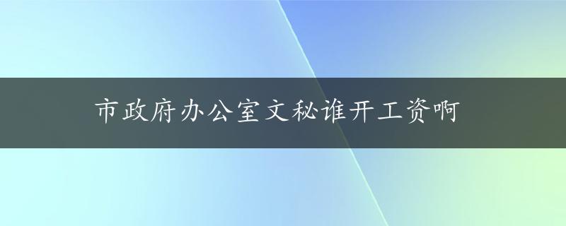 市政府办公室文秘谁开工资啊