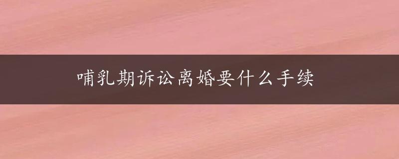 哺乳期诉讼离婚要什么手续