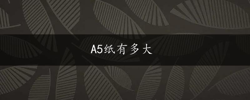 A5纸有多大