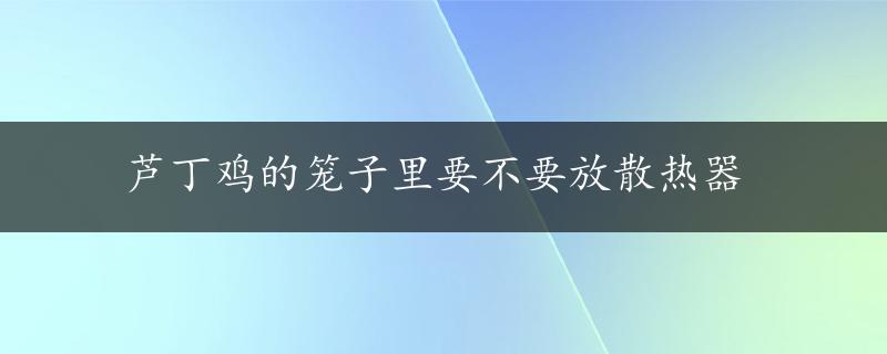 芦丁鸡的笼子里要不要放散热器