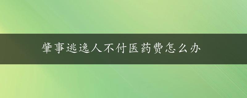 肇事逃逸人不付医药费怎么办