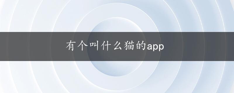 有个叫什么猫的app