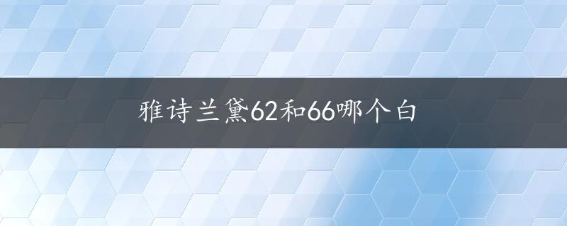 雅诗兰黛62和66哪个白