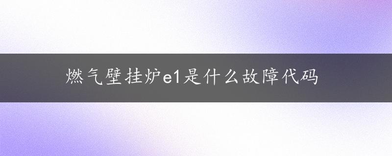 燃气壁挂炉e1是什么故障代码