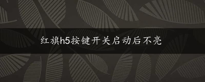 红旗h5按键开关启动后不亮