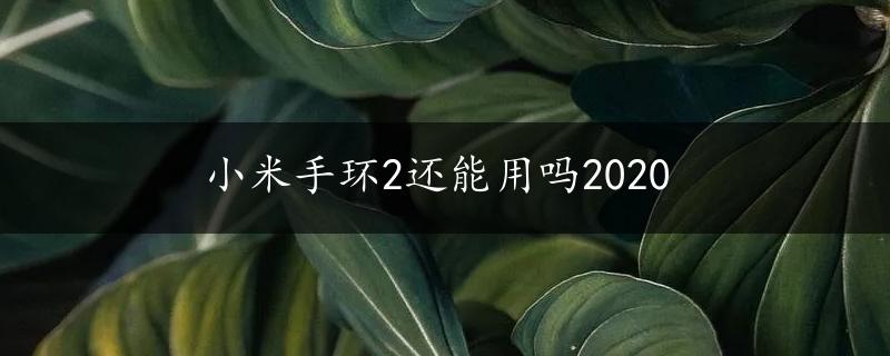 小米手环2还能用吗2020