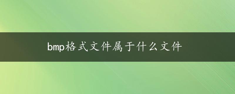 bmp格式文件属于什么文件